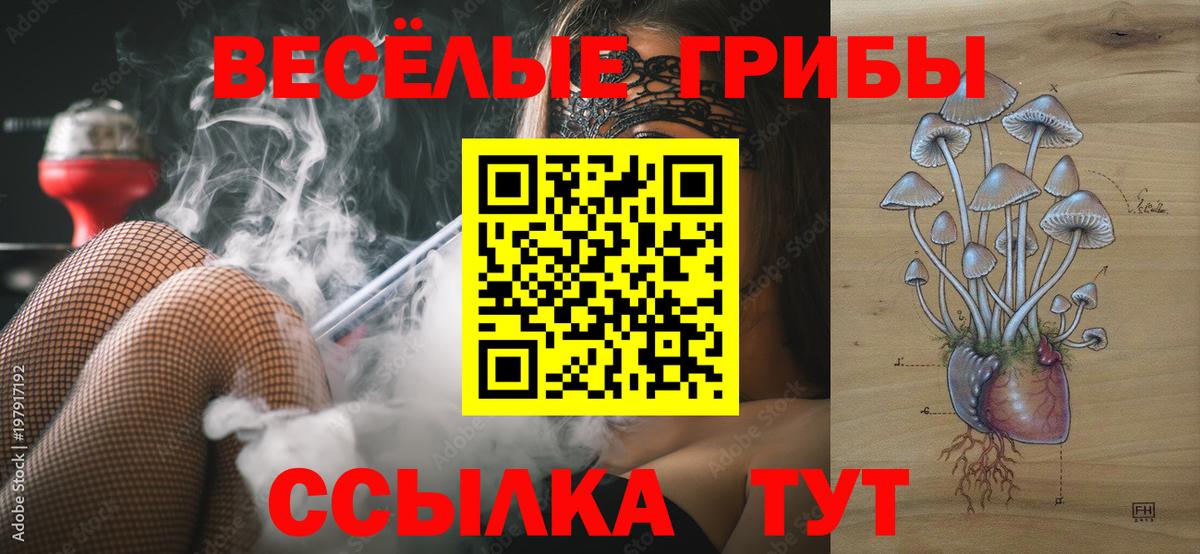 Псилоцибиновые грибы Psilocybe  Вход с VPN  Галлюциногенные грибы Cubensis  Чайковский 