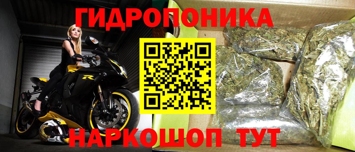 Бошки Шишки марихуана Чайковский